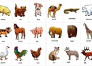 10 Hewan Terpopuler Beserta Nama Latin dan Bahasa Inggrisnya!
