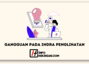 10 Penyakit yang Menyerang Sistem Indra dan Cara Mengatasinya!