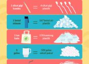 10 Macam Penyakit yang Disebabkan oleh Kerusakan Tanah