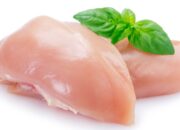 10 Sumber Protein Hewani Terbaik untuk Unggas