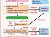 5 Langkah Awal Resusitasi pada Anak Baru Lahir: Panduan untuk Tenaga Medis