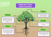 10 Tumbuhan Beserta Fungsinya yang Bermanfaat untuk Kehidupan Sehari-hari!