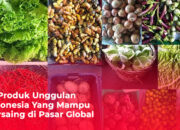 10 PBF Terkenal di Indonesia dan Produk Farmasi Unggulannya!