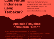 10 Orang yang Terlibat dalam Pembakaran Hutan