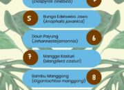 10 Jenis Tanaman yang Hanya Tumbuh di Daerah Asalnya