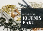 10 Jenis Paku Sejati dan Penggunaannya dalam Konstruksi