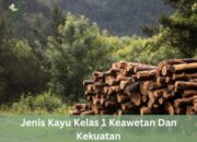 10 Jenis Kayu Berdasarkan Keawetan