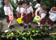 10 Jenis Tanaman yang Tumbuh di Sekolah: Edukasi dan Manfaatnya