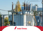 10 Jenis Amolop yang Unik dan Kegunaannya dalam Kehidupan Sehari-Hari