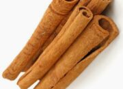 10 Jenis Batang untuk Obat Tradisional yang Berkhasiat