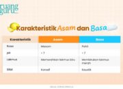 10 Jenis Asam dan Basa: Pengertian
