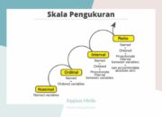 4 Tipe Skala Data Numerik: Dasar-Dasar Statistik yang Perlu Anda Ketahui!