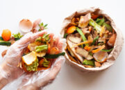 10 Macam Limbah Organik dan Cara Mengolahnya