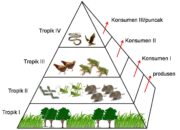 10 Jenis Biotik Hewan dan Tumbuhan serta Dampaknya pada Ekosistem