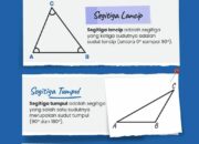 10 Jenis Segitiga dan Propertinya dalam Matematika