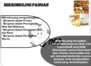 10 Jenis Bakteri yang Merusak Bahan Makanan dan Cara Mencegahnya