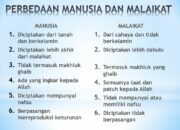 10 Perbedaan Malaikat Jin dan Manusia Menurut Islam