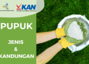 10 Jenis Pupuk Kimia Beserta Cara Penggunaan Kandungan Dan Fungsi