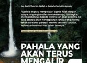 Pahala Baca Alquran Setelah Mati: Amalan yang Terus Mengalir