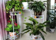 10 Jenis Bunga untuk Dekorasi di Dalam Rumah yang Menyegarkan
