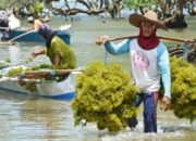 10 Jenis Pekerjaan yang Berkaitan dengan Sumber Daya Laut
