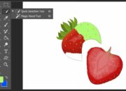 10 Tool dalam Photoshop dan Fungsinya untuk Desain Grafis yang Profesional