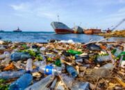 3 Hal yang Dapat Merusak Ekosistem Laut: Ancaman bagi Kelestarian Laut