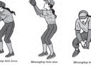 5 Langkah Menangkap Bola Lurus dalam Softball: Teknik Dasar yang Harus Diketahui!
