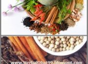 10 Nama Lain Simplisia yang Sering Digunakan dalam Dunia Pengobatan Tradisional!