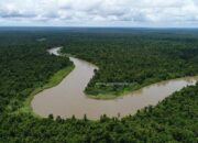 4 Tipe Delta Sungai: Fenomena Alam yang Membentuk Bentang Alam Menarik!