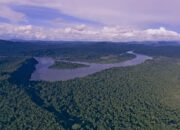 10 Sungai Terpanjang di Indonesia yang Menyusuri Keindahan Alam Nusantara!