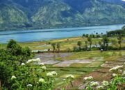 10 Dataran Tinggi di Indonesia yang Menawarkan Pemandangan Menakjubkan!