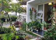 10 Jenis Bunga untuk Dekorasi di Dalam Rumah yang Menyegarkan