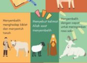 3 Hal yang Harus Diperhatikan Sebelum Menyembelih Binatang Kurban: Sesuai Syariat Islam