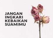 Pahala Istri Meninggalkan Karir Demi Mengikuti Suami: Pengorbanan yang Diganjar Kebaikan