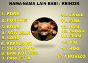 10 Nama Lain dari Babi yang Mungkin Belum Kamu Ketahui!