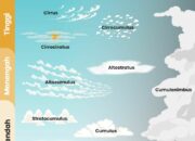 10 Jenis Awan dan Ciri-cirinya: Dari Cumulus hingga Cirrus