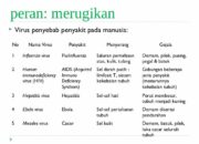 10 Virus Berbahaya pada Manusia dan Penyakit yang Ditimbulkannya!