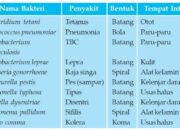 10 Jenis Bakteri Ekor dan Peranannya dalam Ekosistem