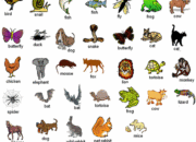 10 Nama Hewan Buas dalam Bahasa Inggris yang Wajib Kamu Ketahui!