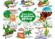10 Makhluk Hidup dengan Nama Latin yang Menambah Ilmu Pengetahuan Alam!