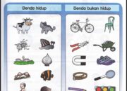 10 Jenis Benda Alam yang Ada di Sekitar Kita