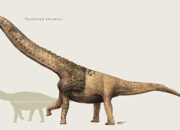 10 Dinosaurus yang Pernah Mendominasi Bumi: Siapa Saja Mereka?