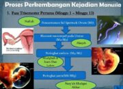 3 Hal yang Harus Dihormati dalam Hidup Manusia: Kelahiran Kehidupan dan Kehormatan