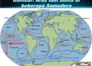 10 Jenis Arus Laut di Dunia dan Dampaknya terhadap Perubahan Iklim
