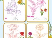 10 Macam Bunga yang Cocok untuk Pendidikan Anak TK