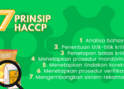 5 Langkah Awal HACCP: Membangun Keamanan Pangan yang Optimal