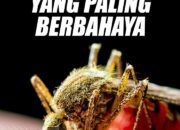 10 Jenis Nyamuk yang Berbahaya dan Paling Banyak Membunuh Manusia