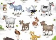 10 Jenis Binatang Jinak dan Penjelasannya: Teman Setia Manusia