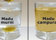 10 Uji untuk Membedakan Madu Murni dan Madu Campuran
